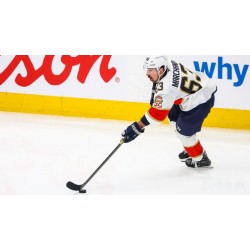Florida Panthers musí tvrději pracovat na dosažení trojitého vítězství